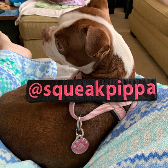 Meet your Posher, Erin - Picture 2 of 6